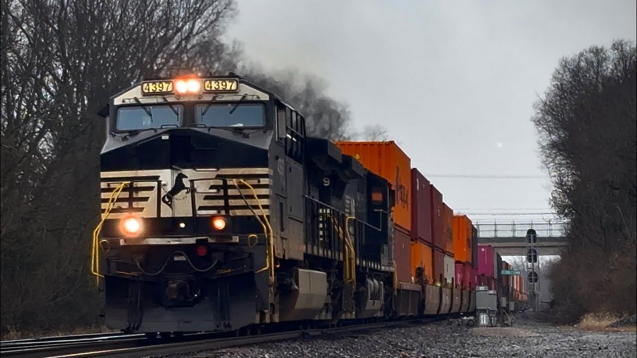 NS 278!