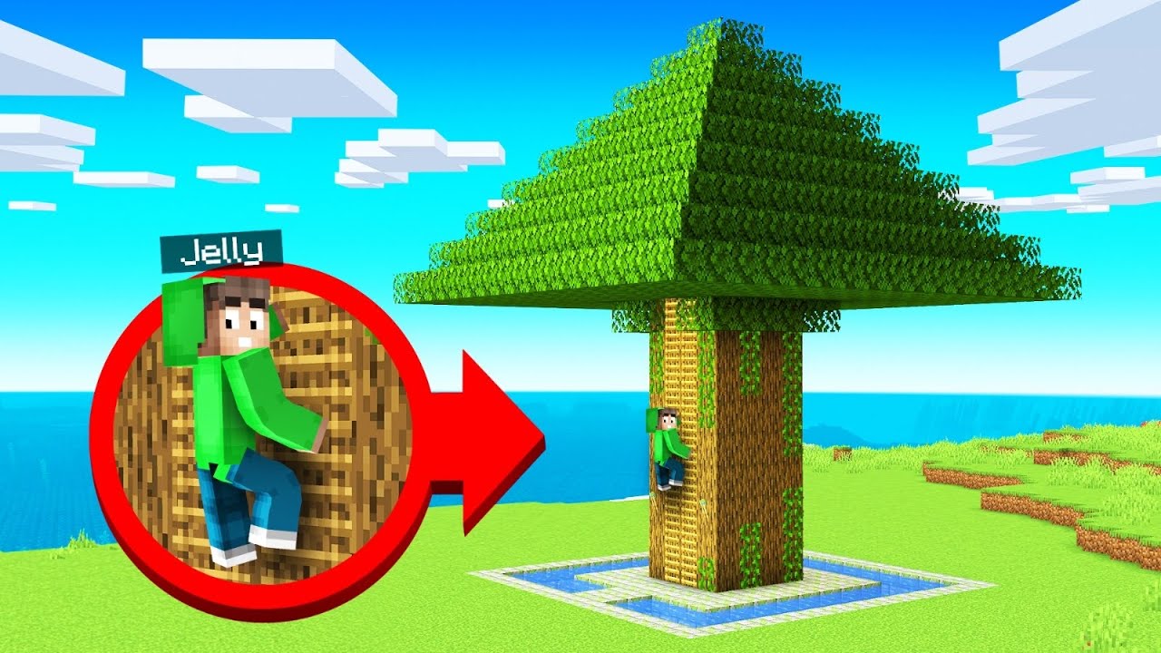 Мой новый гигантский дом-пирамида на дереве! (Minecraft Squid Island)