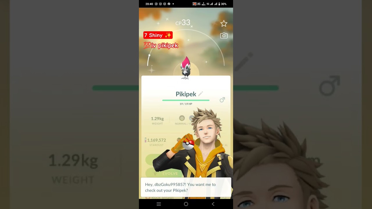 Got 7 shiny ✨ 💯 iv  pikipek at once 