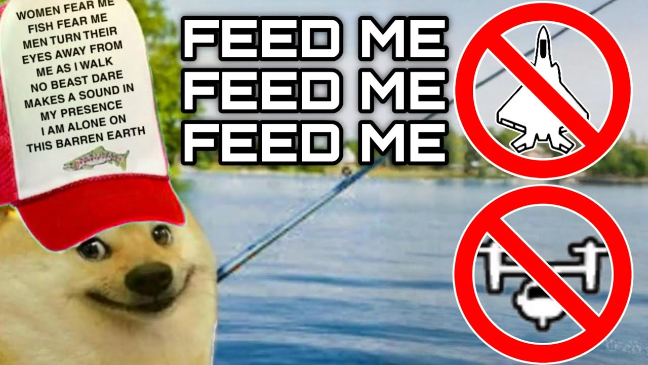 THE ANIMAL I HAVE BECOME