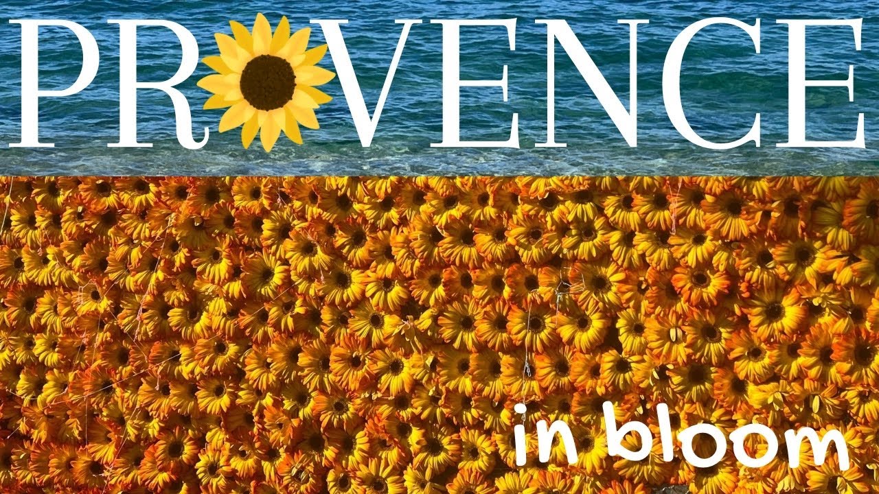 Самое прекрасное воскресенье в Ле-Лаванду 🌞🌻 | Цветочный парад на Корсо Флёри 2026