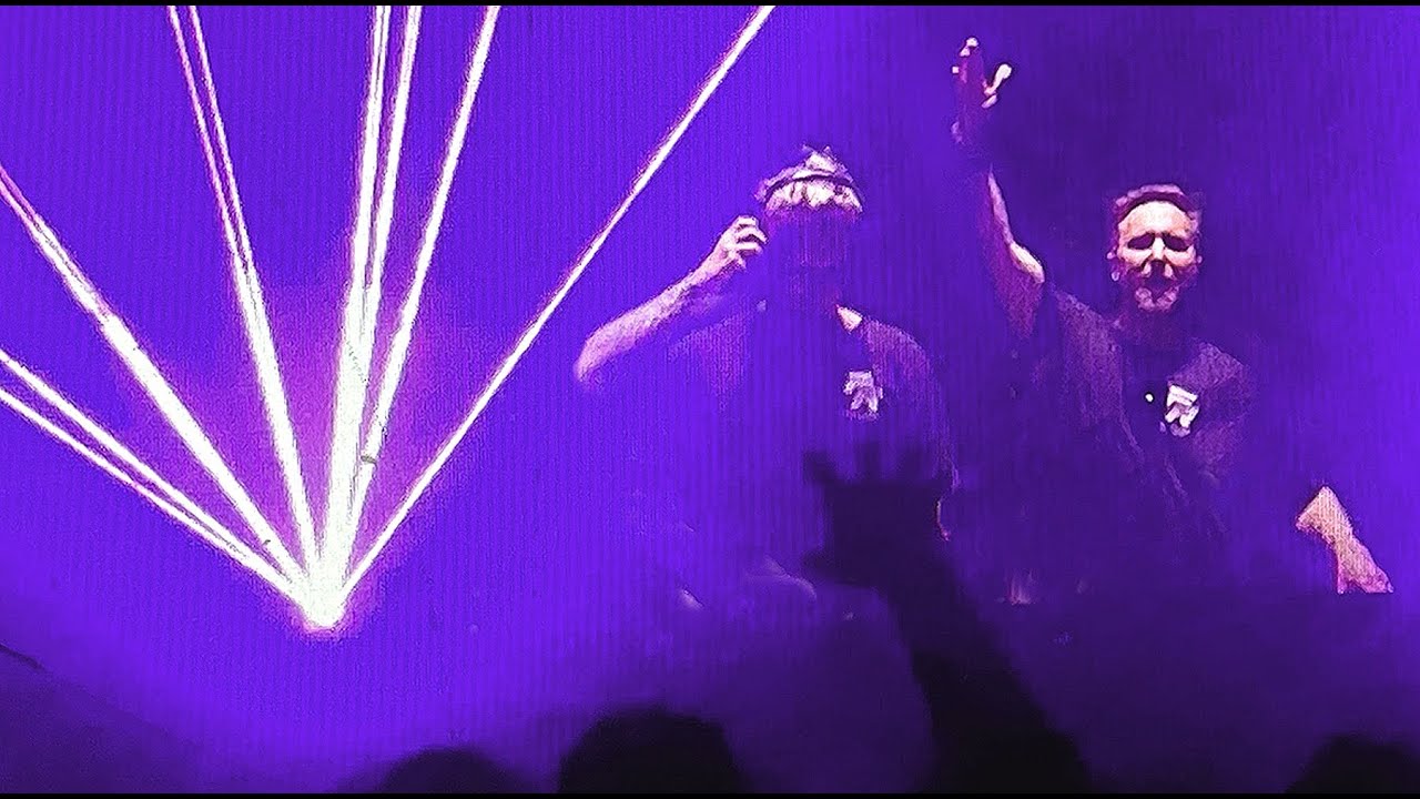 David Guetta & MORTEN - 