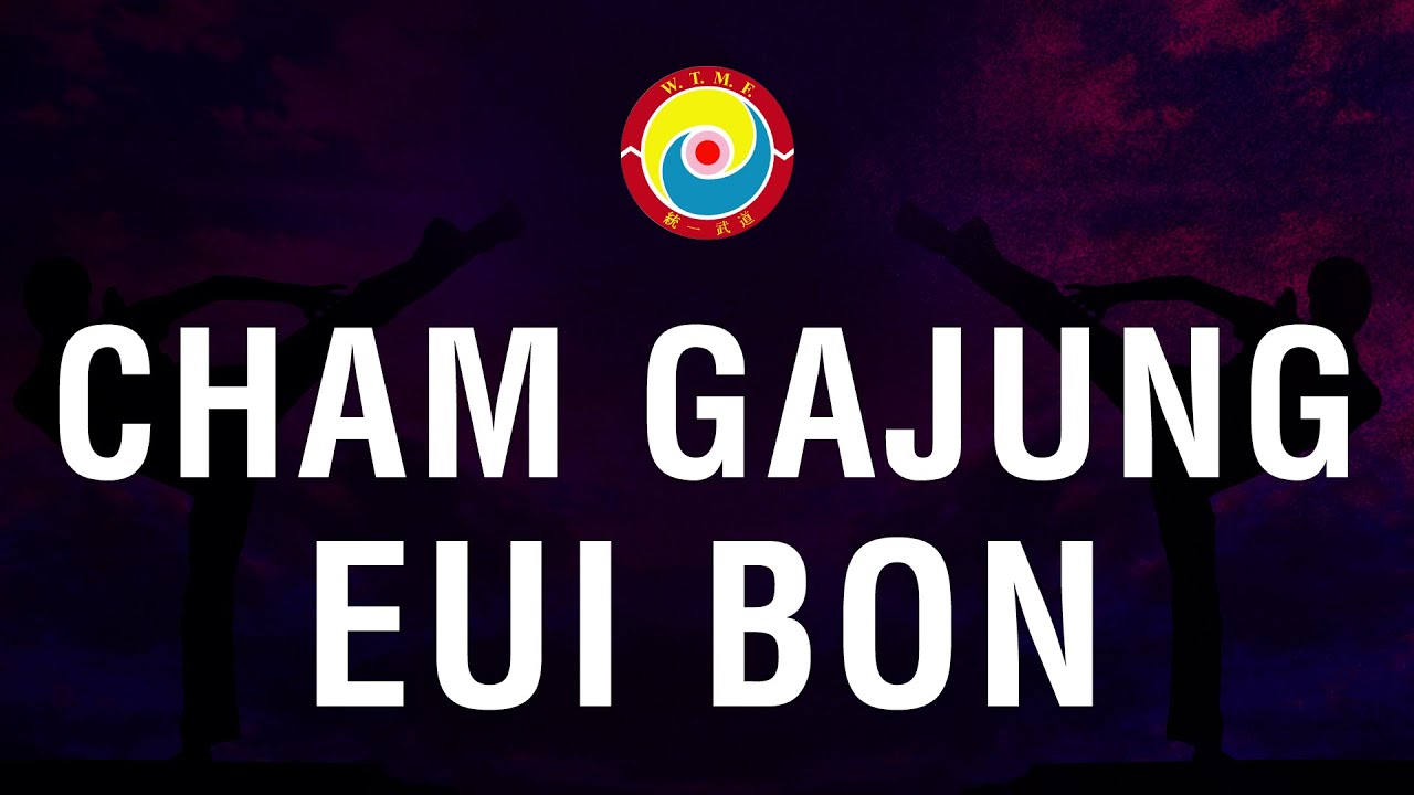 Cham Gajung Eui Bon / Tong-Il Moo-Do Bon (Form)