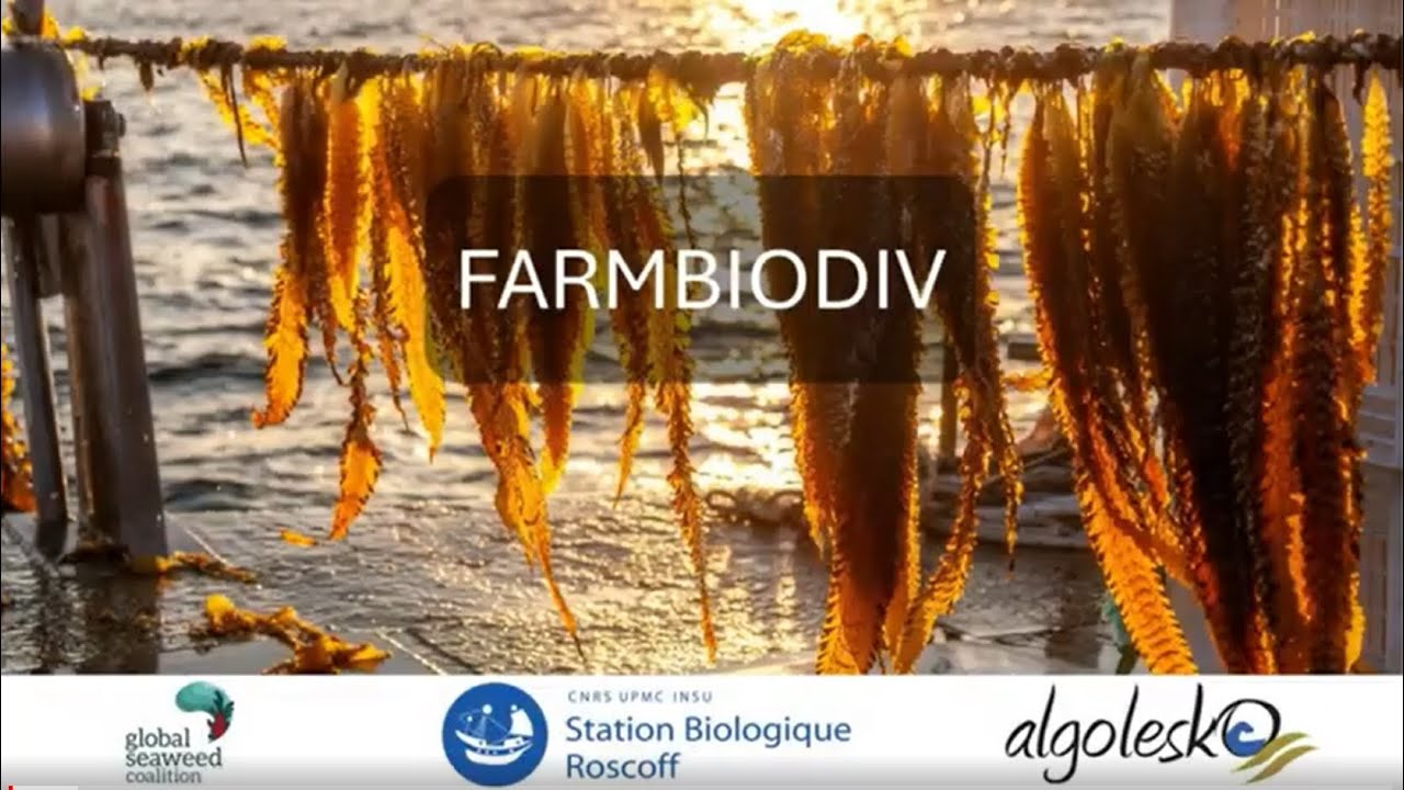 Farmbiodiv (Algolesko)