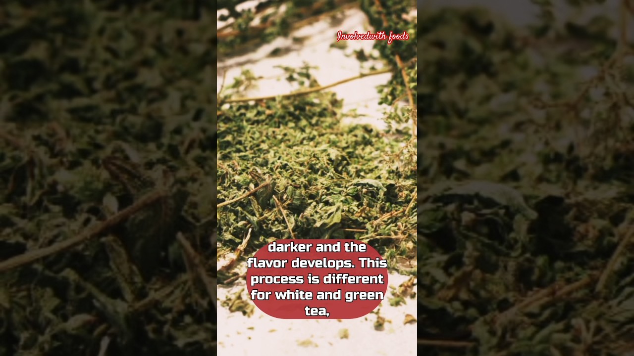 tea production and oxidation process #facts #teainspiration #teaproduction #breakfastfood