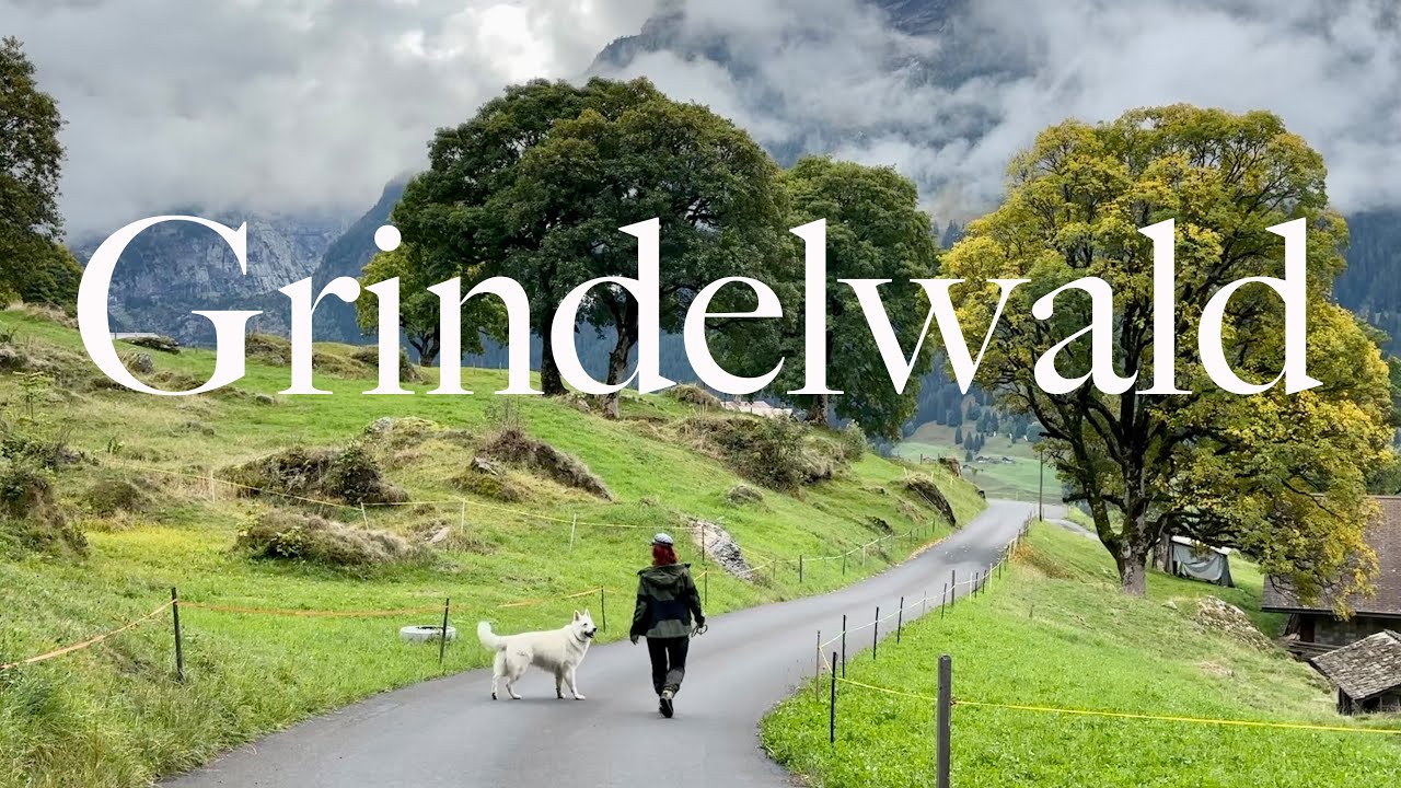 Bussalp Grindelwald Switzerland: The Perfect Hike For A Summer Day