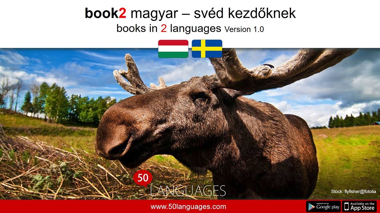 Svéd kezdőknek 100 fejezetben