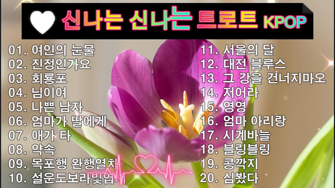 신나는 신나는 트로트 KPOP (TROT) PLAYLIST 💸 ( 꽃길.상사화.여인의 눈물.회룡포.바람길...) #Kpop