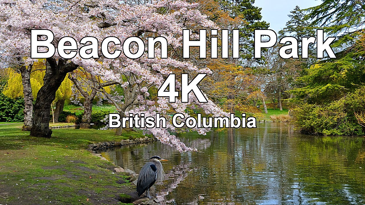 Beacon Hill Park, Victoria, BC, Walking Tour