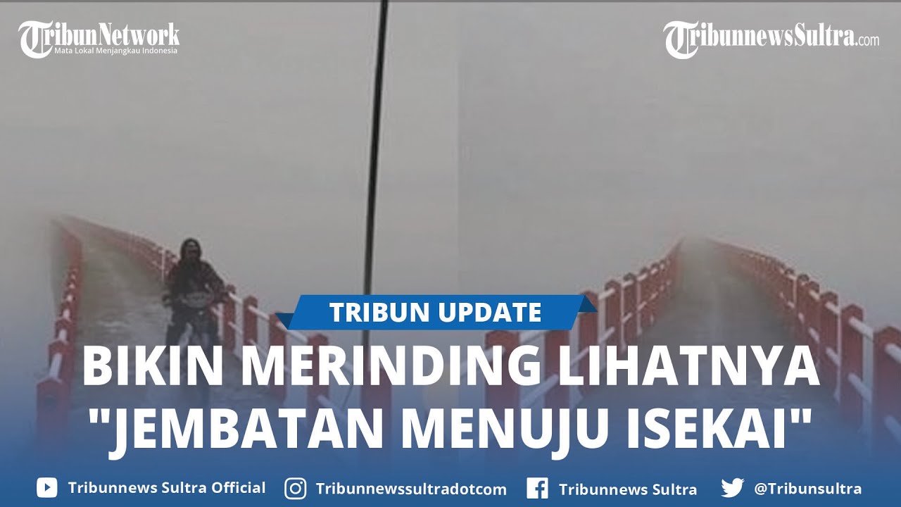 Viral Penampakan Jembatan Situ Cileunca, Bak Jalan Menuju Dunia Lain
