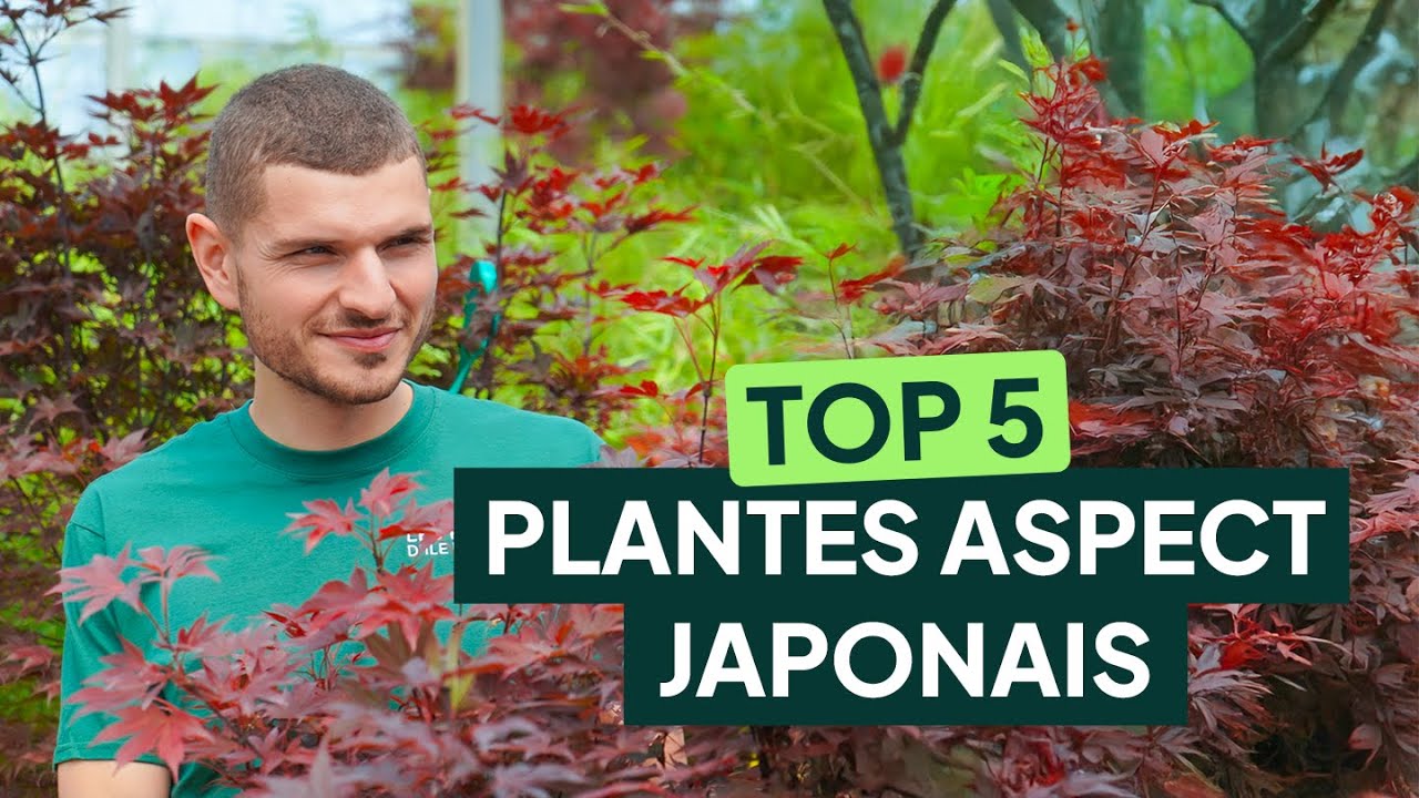 TOP 5 Des plantes pour donner un aspect japonais à un jardin