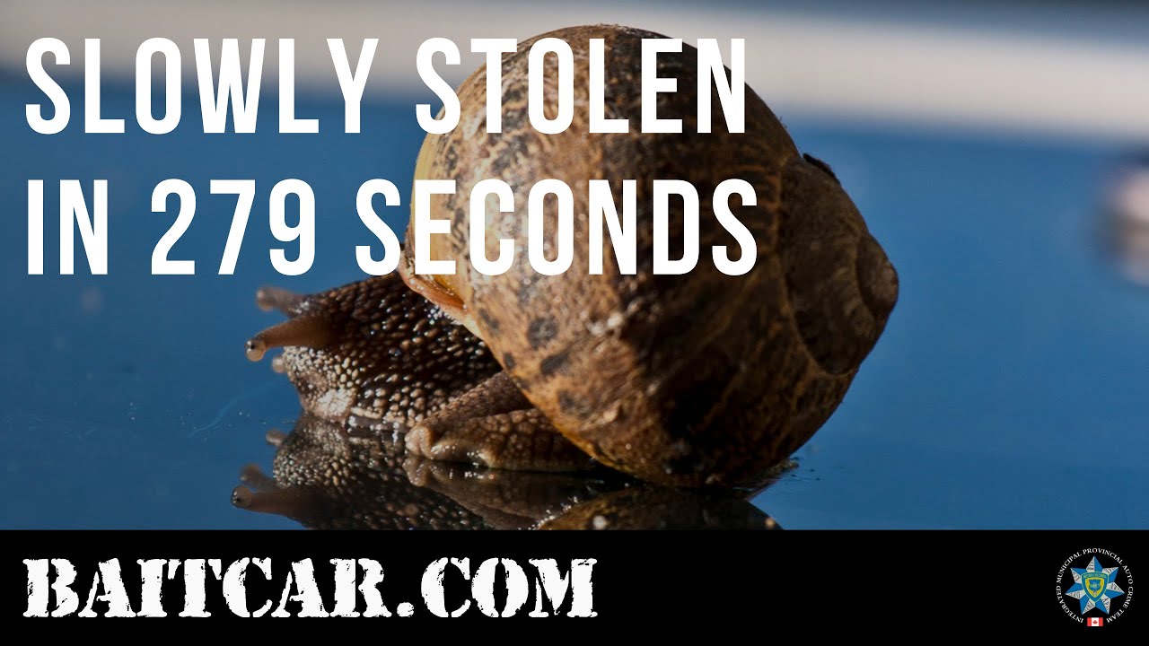 Slowly Stolen in 279 Seconds | baitcar.com