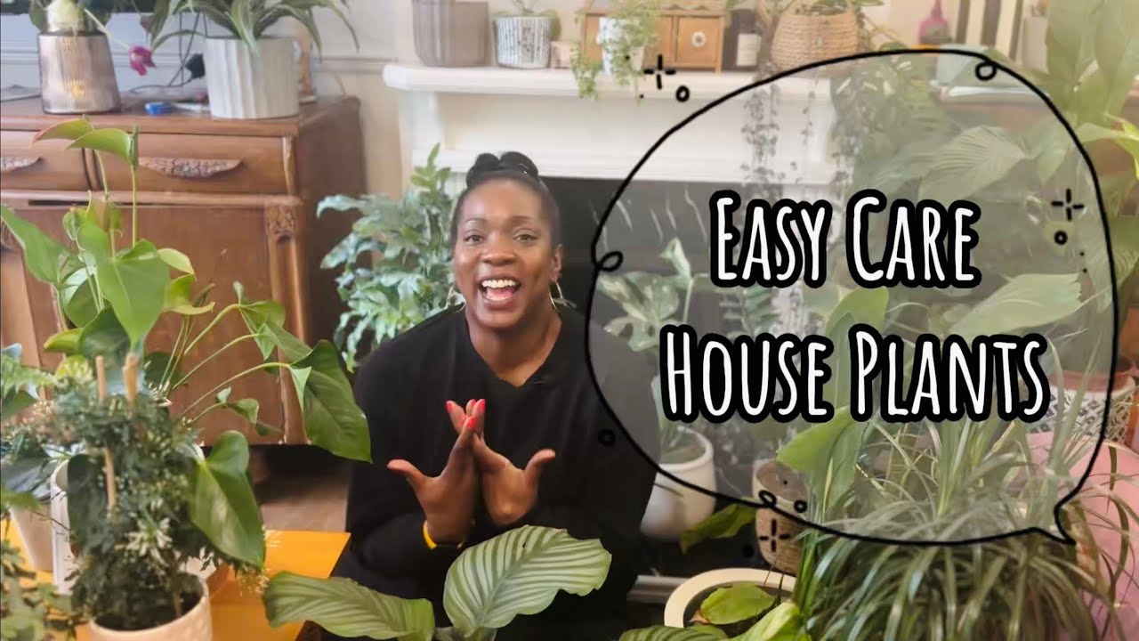 Easy Care Houseplants | Calm, Cozy Plant Tour for Real Homes