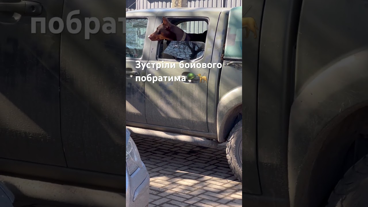 Приїхали шукати запчастини до НРК🪖🇺🇦