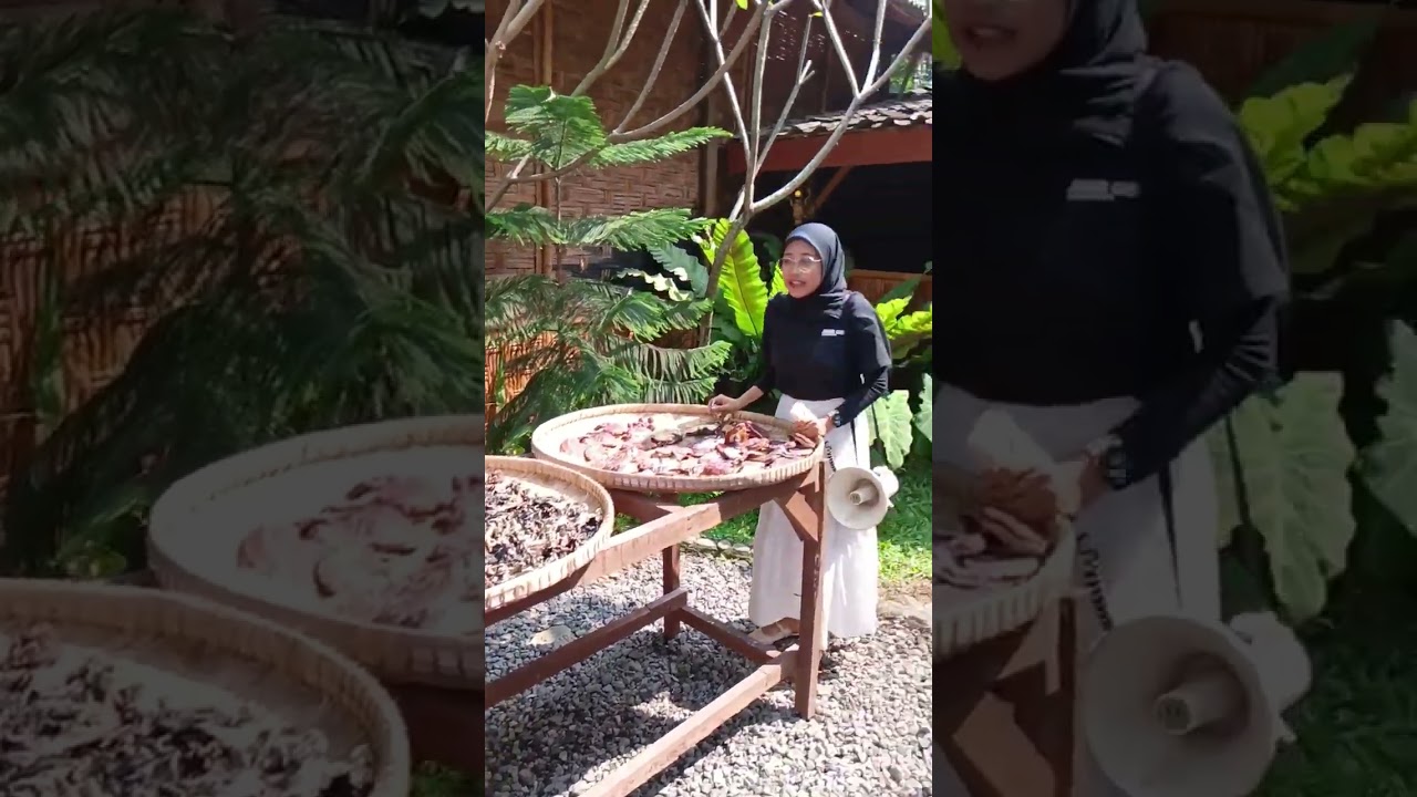 UMKM JAMUR BOROBUDUR : DESTINASI WISATA VW MAGELANG