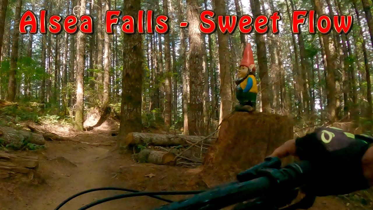 Best MTB Trails in Alsea Falls, OR - Whistlepunk and Highballer