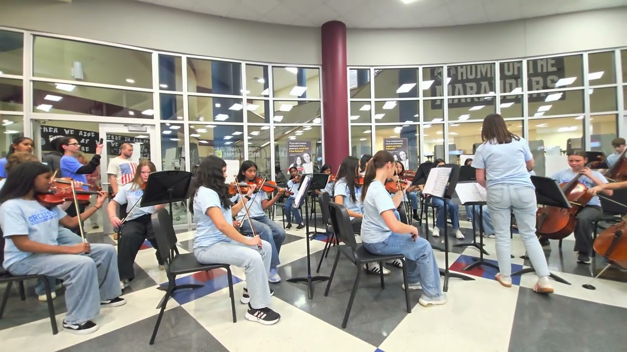 Chamber Orchestra performance 👏 