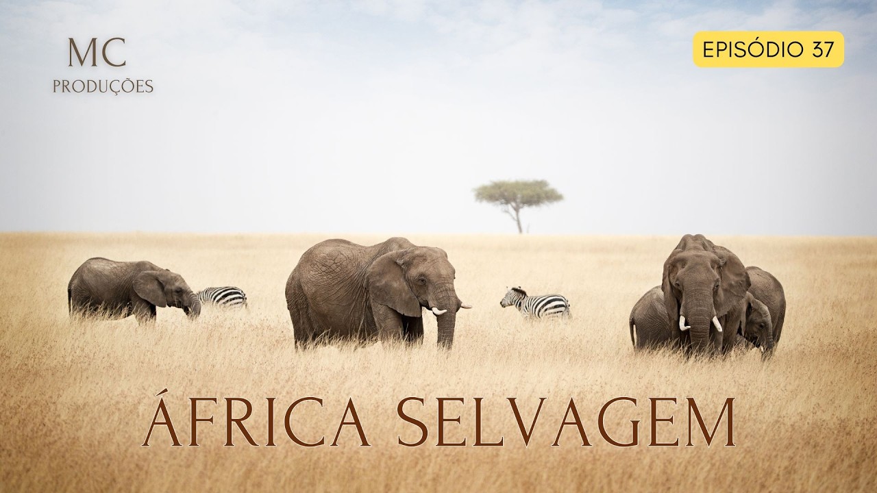 ÁFRICA SELVAGEM | DIVERSIDADE DO REINO ANIMAL