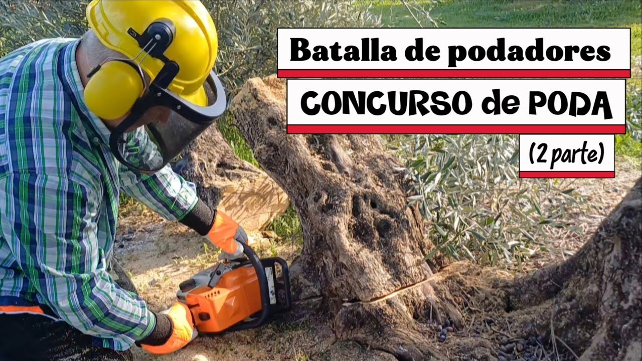 12 de marzo de 2026
