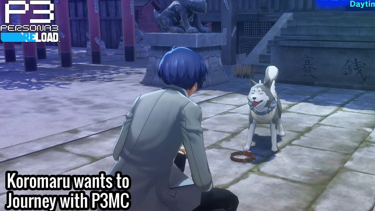 Persona 3: Reload | Koromaru Wants to be Adopted by P3MC