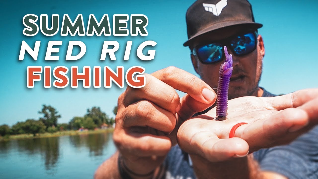 Summer Ned Rig Fishing | KEYS To Catch More Fish In The HEAT