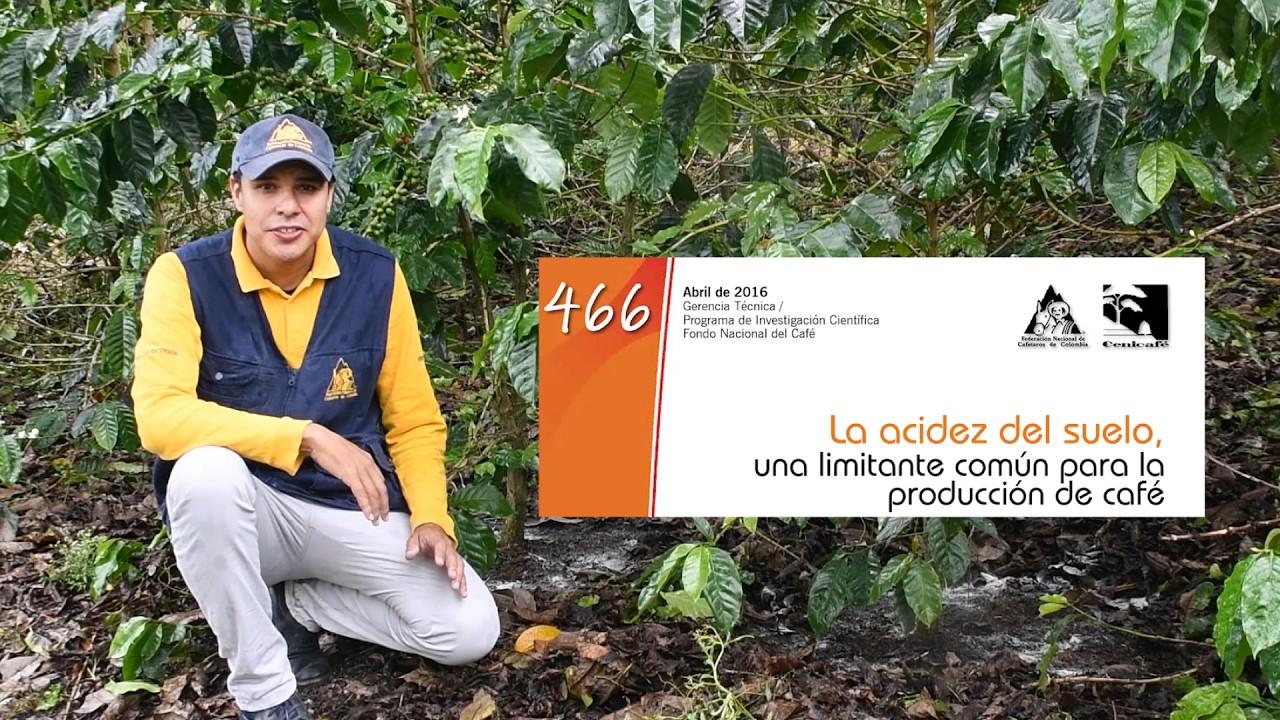 Podcast Actualidad Cafetera - Emisión 6 - 12 de marzo de 2026