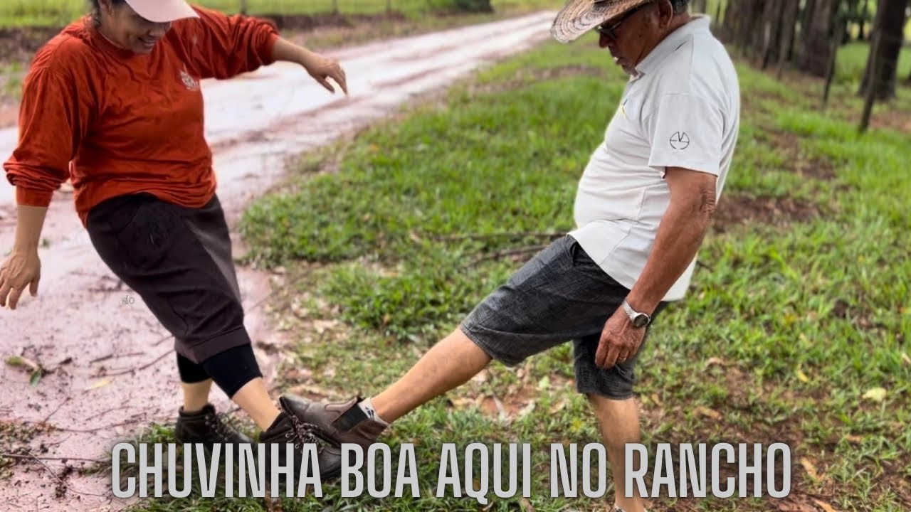 LIMPEZA NO LAGO DOS GANSOS| COLHEMOS PINHA| CAMINHADA RENDEU