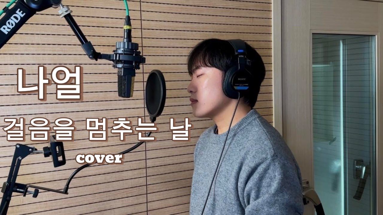나얼 - 걸음을 멈추는 날 COVER