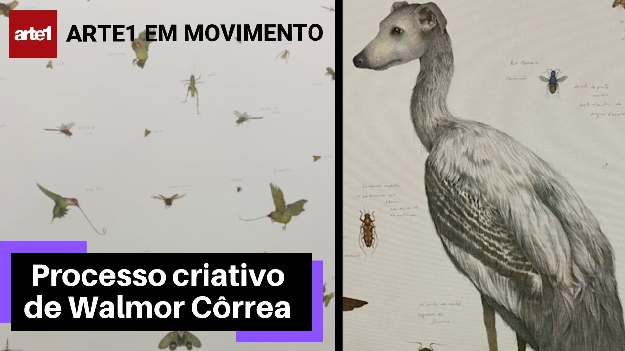 O PROCESSO CRIATIVO DE WALMOR C&Ocirc;RREA | ARTE1 EM MOVIMENTO