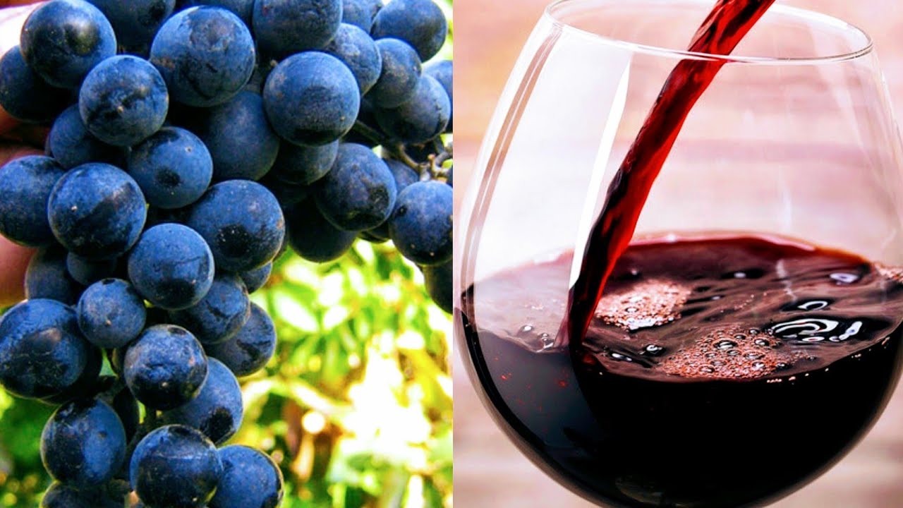 SI TË BËJMË VERË NË SHTËPI!!!.HOMEMADE WINE!