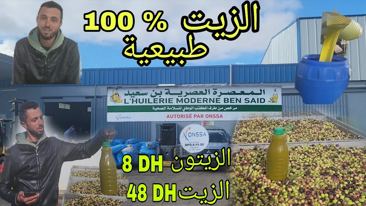 الزيتون والزيت الممتاز البكر برأس جري نواحي مكناس