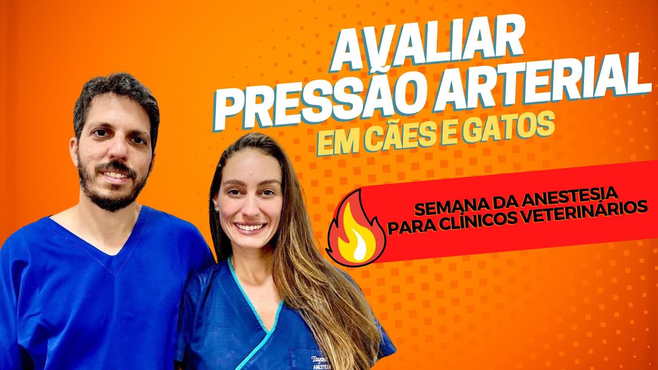 Avaliação da Pressão Arterial na Clínica Veterinária