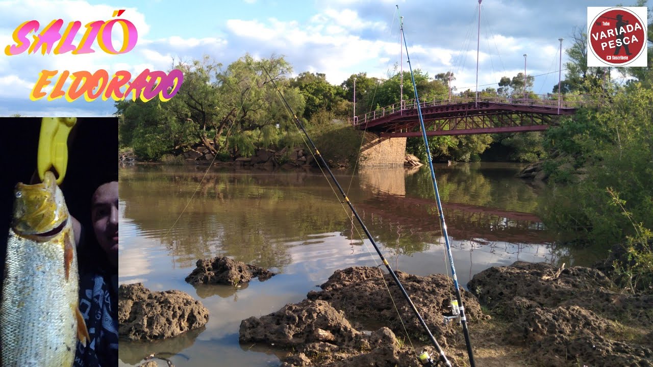 Dorado en el primer día !!! Pesca en Colón, rio Uruguay 🎣