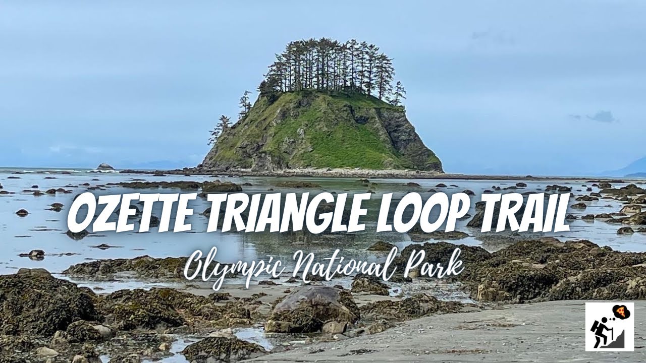 Backpacking the Ozette Triangle Loop Trail | Olympic National Park