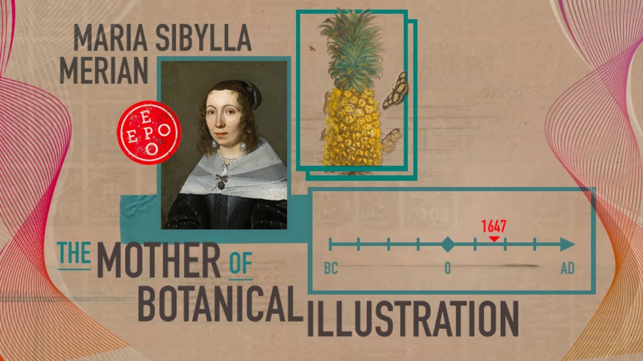 #9 Maria Sibylla Merian. The Mother of Botanical Illustration | Pioneering Botanists and Their Times