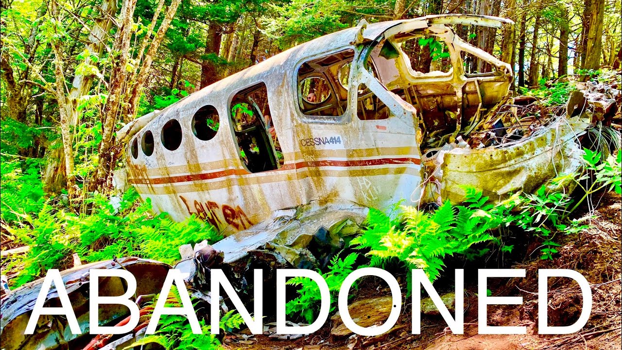 Заброшенный самолёт, крушение – Уотеррок-Ноб – Мэгги-Вэлли, Северная Каролина – Поход VLOG 1