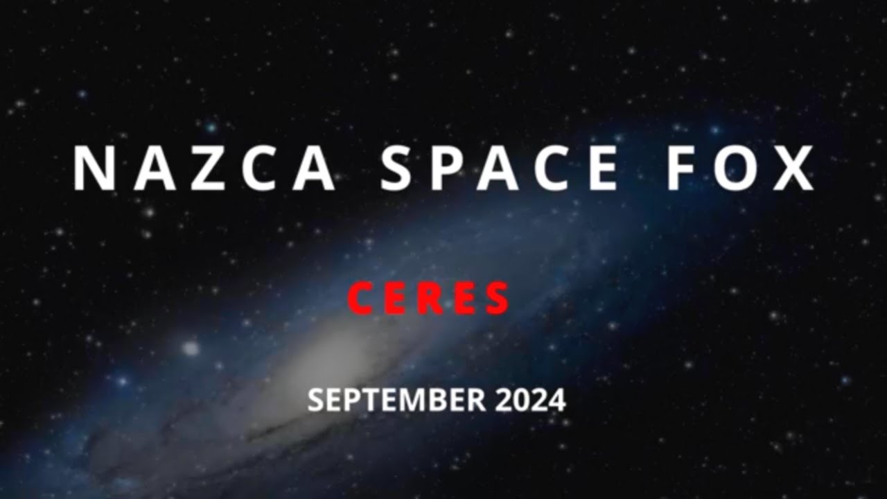 Proberaumgeflüster: NAZCA SPACE FOX
