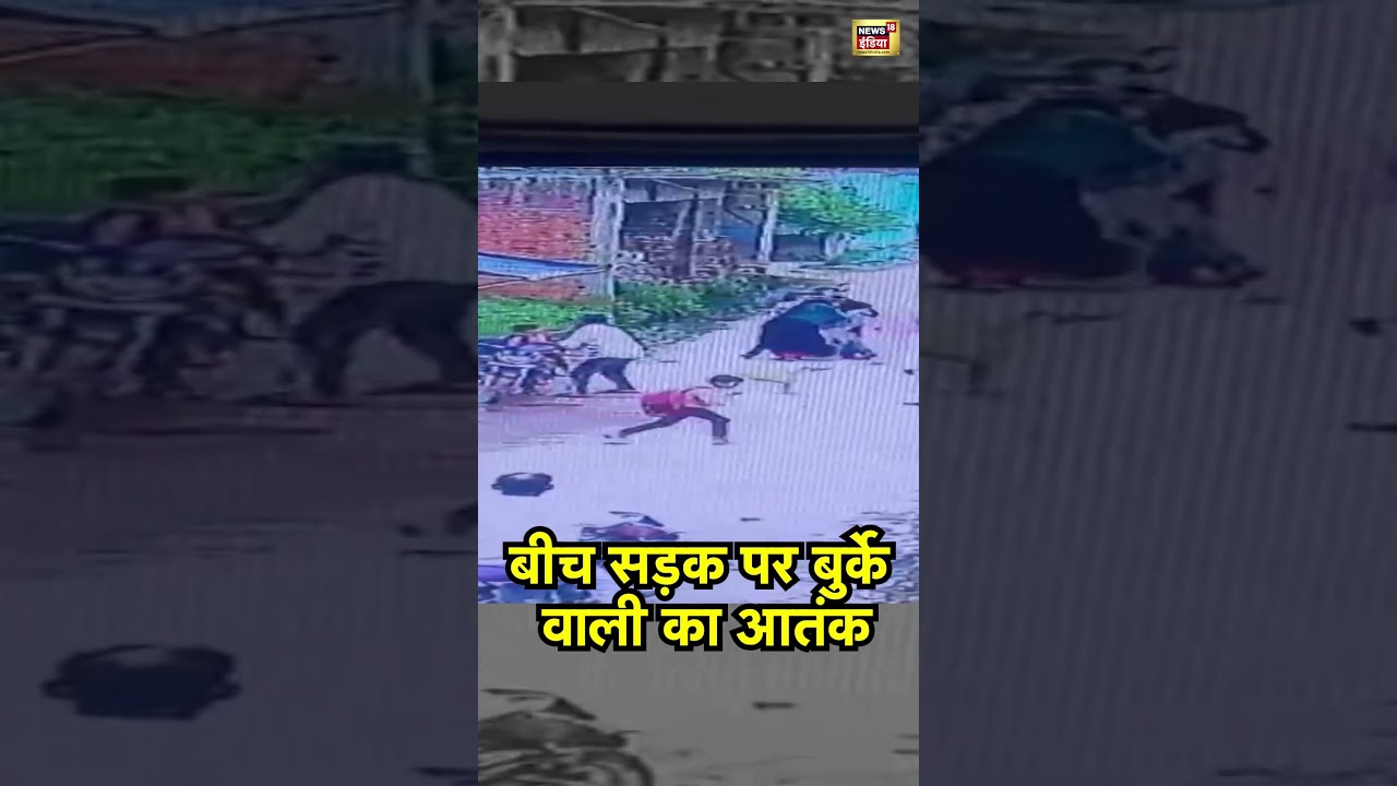 Amroha Viral News:  बीच सड़क पर बुर्के वाली का आतंक
