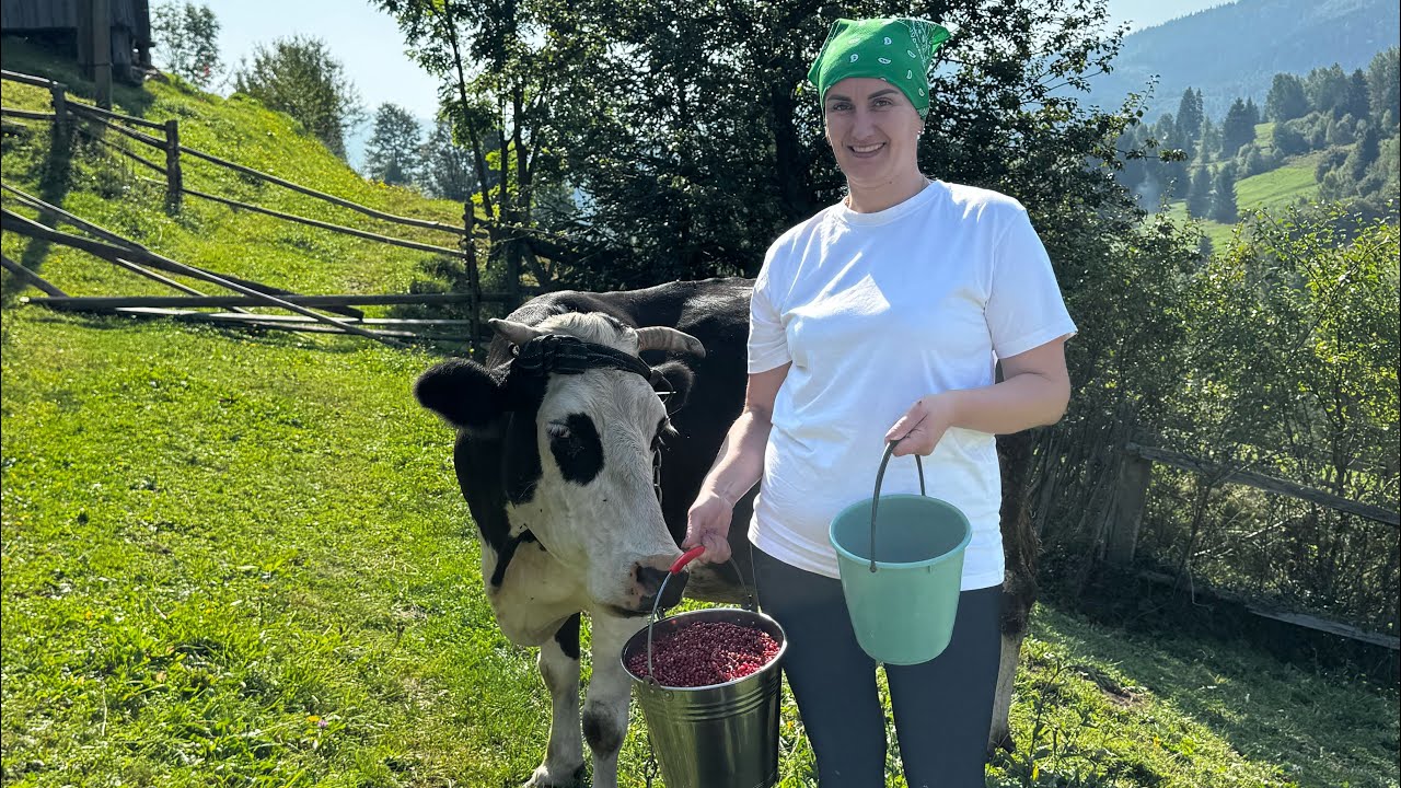 2 Days in a Carpathian Mountain Village | Family Life, Cooking & Simple Living