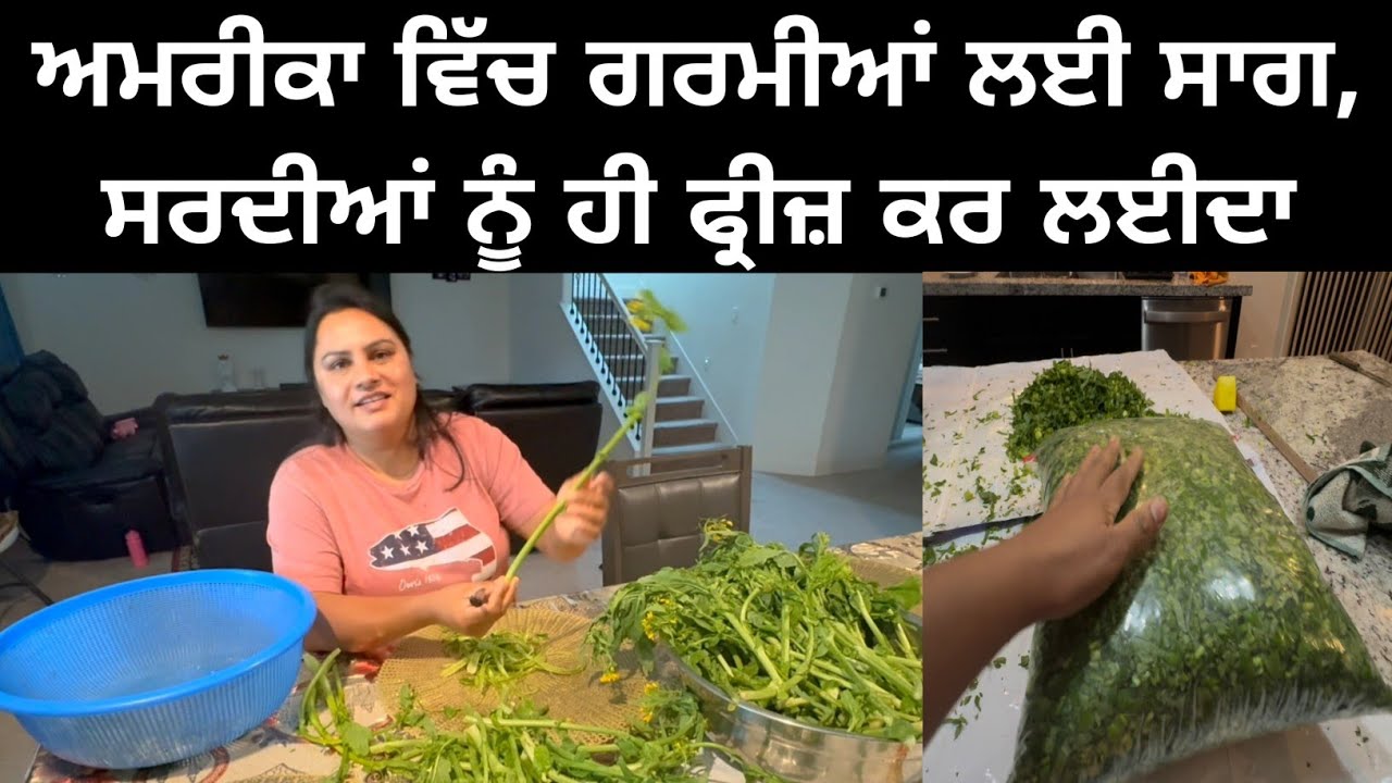ਅੱਜ ਸਾਰੇਆਂ ਨੇ ਰਲ ਕੇ ਗਰਮੀਆਂ ਲਈ ਸਾਗ ਫ੍ਰੀਜ਼ ਕੀਤਾ | Freezing Saag For Summer Season | Punjabi Vlog  |