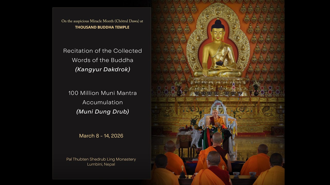 Recitation of the Collected Words of the Buddha & 100 Million Muni Mantra Accumulation - Day 5