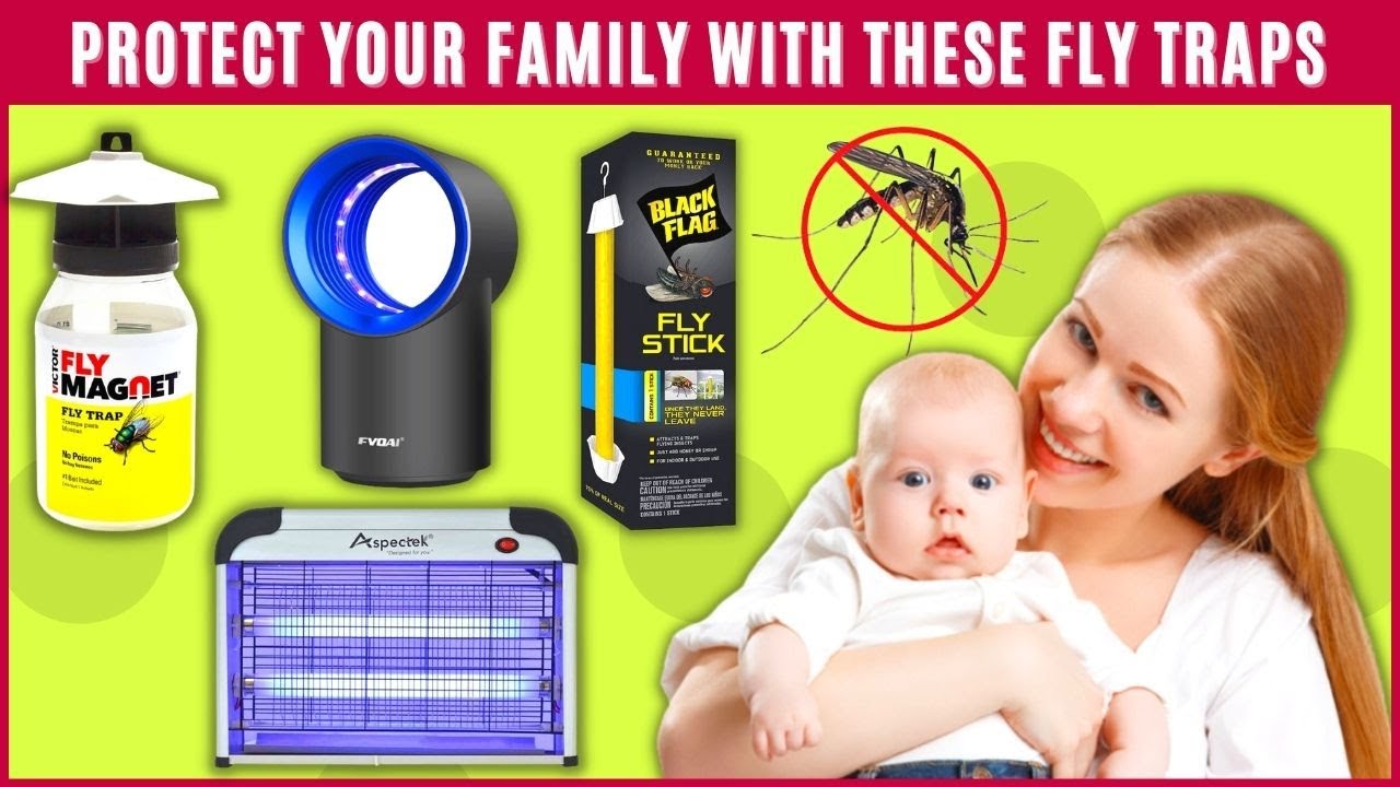 Best Fly Traps For Indoors to Safely Get Rid of House Flies