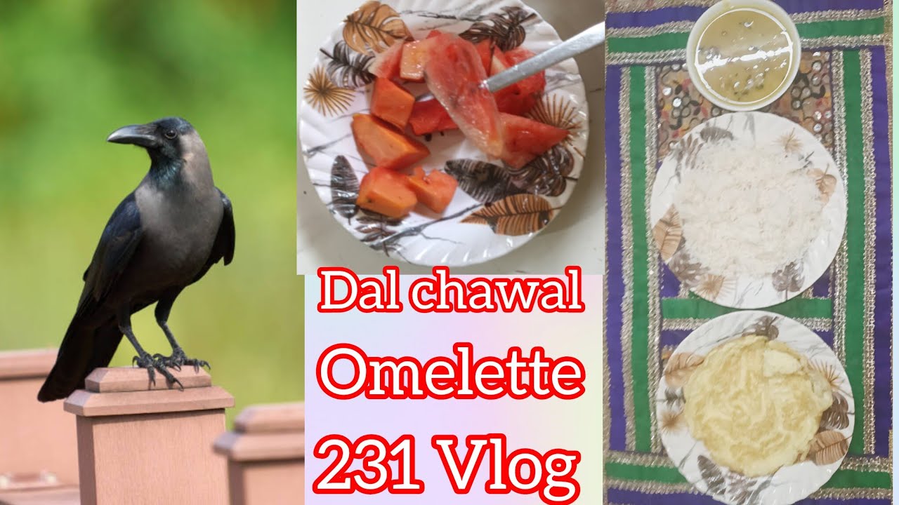 Aaj humne daal chawal aur omelette banaya hai #my231vlog #@Aayatshahcookingandvloging 