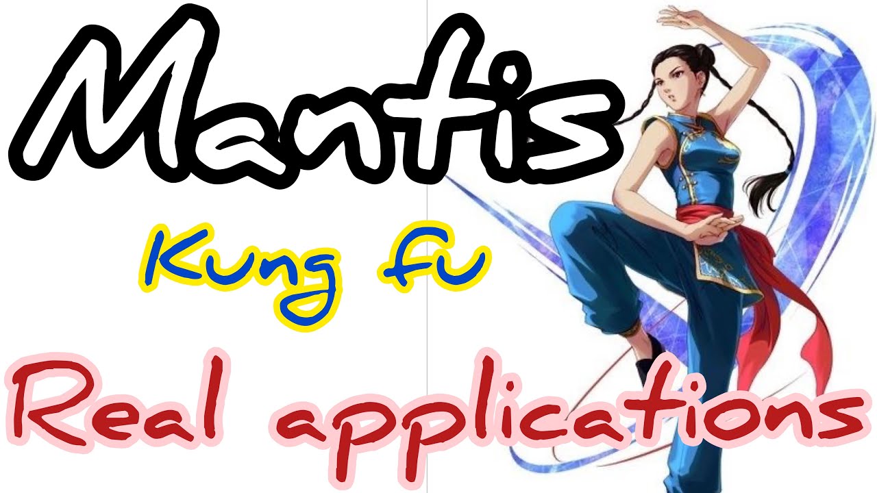 Mantis Kung fu kicks and blocks real application / kicks , blocks , joints lock / 螳螂拳