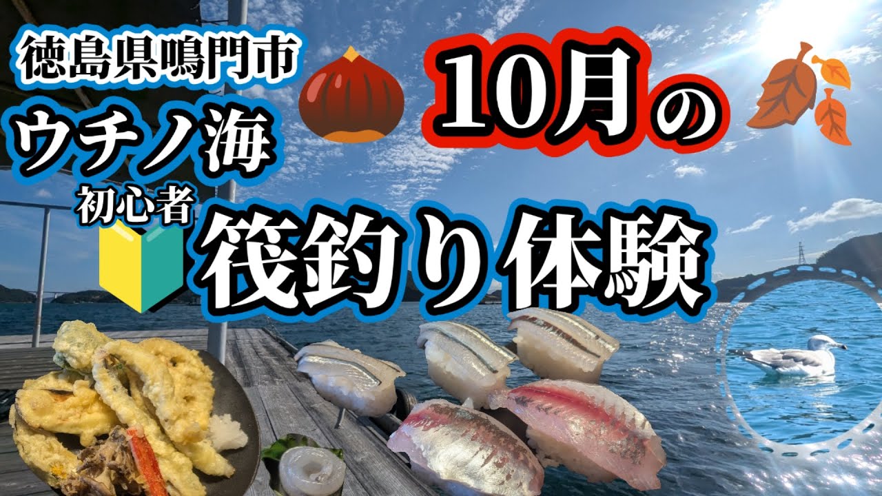 【初心者10月ウチノ海筏釣り体験】徳島県ウチノ海での筏釣り体験です