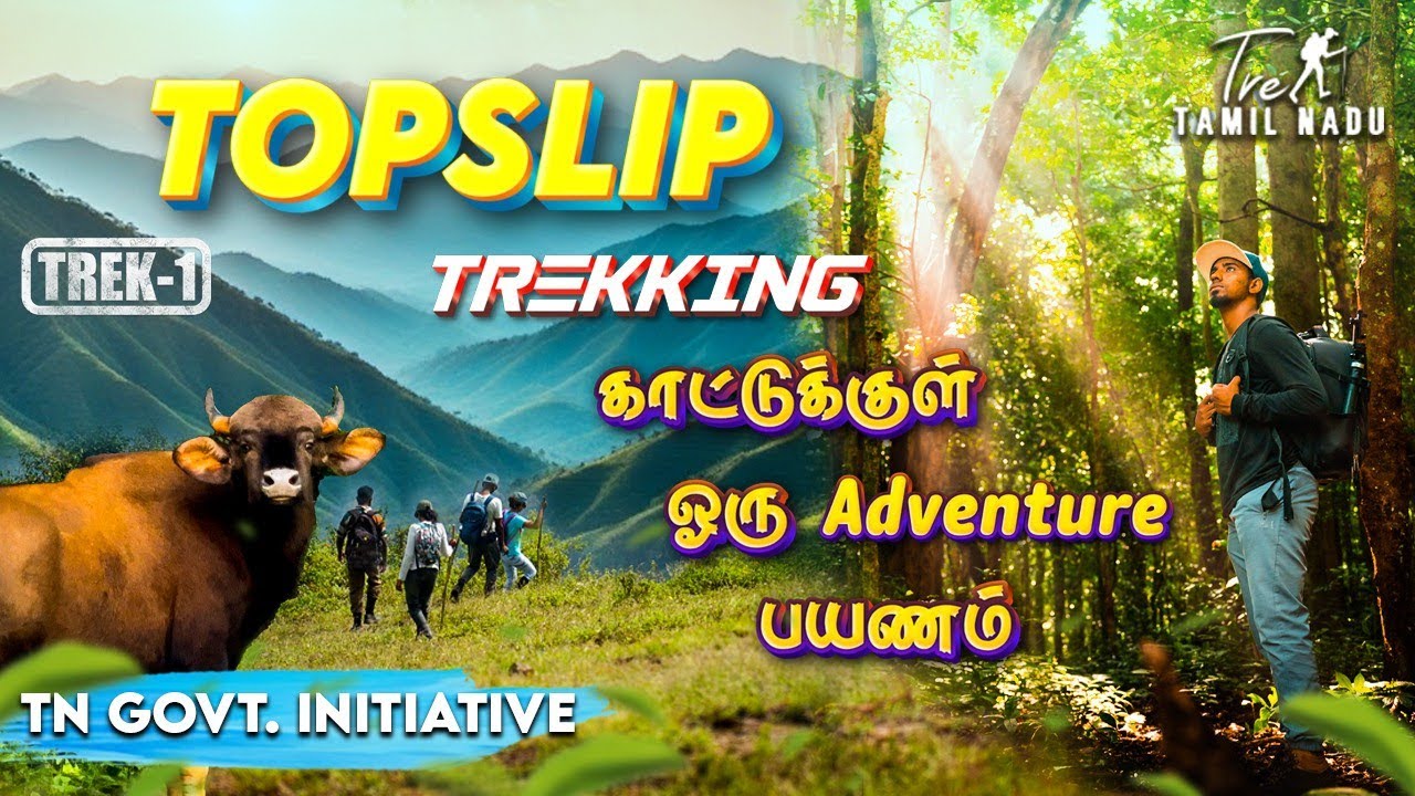 Adventurous Topslip Trekking in Forest😍🔥 | Pandaravarai Trek | How to get Permission & Details