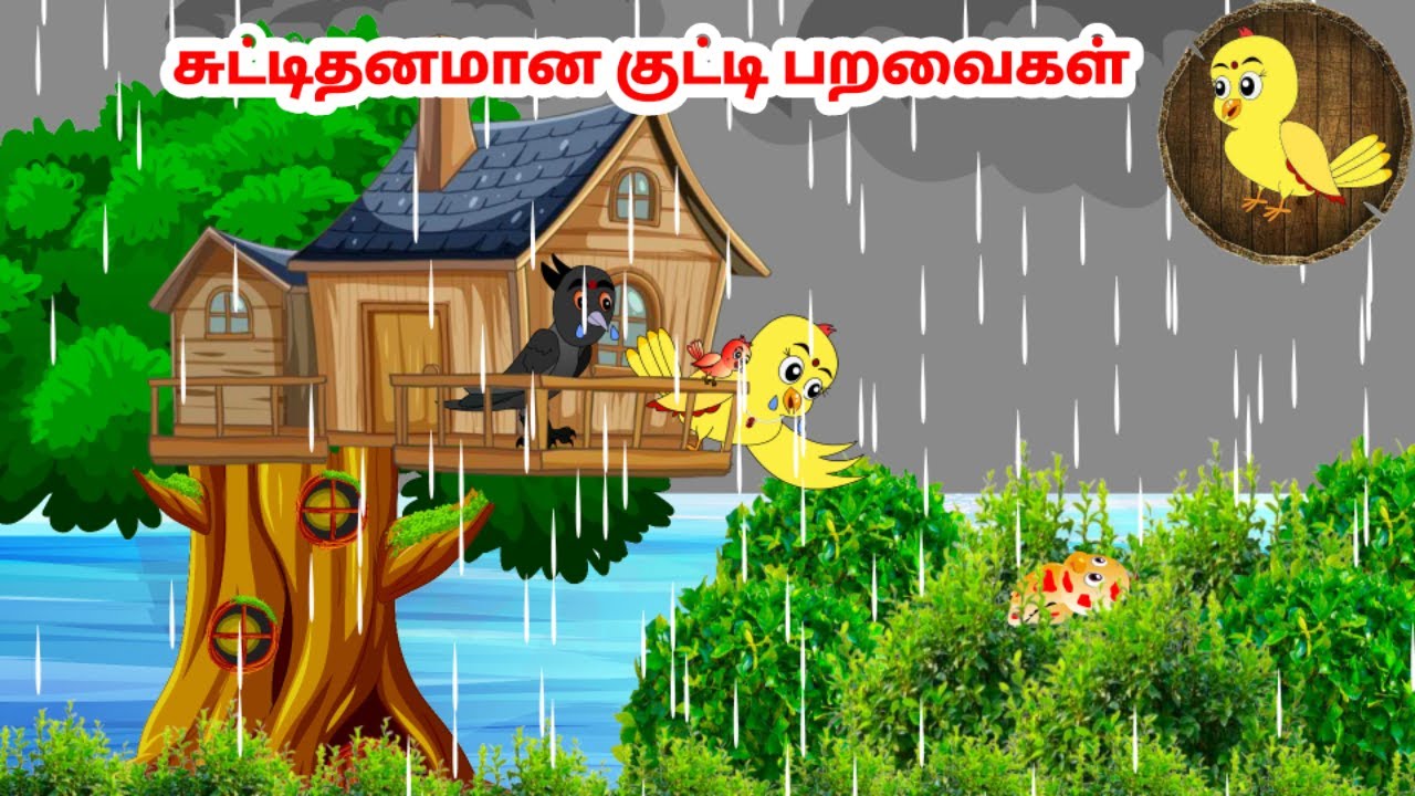 கார்ட்டூன் 11/09/24 | Feel good stories in Tamil | Tamil moral stories | Beauty Birds stories Tamil