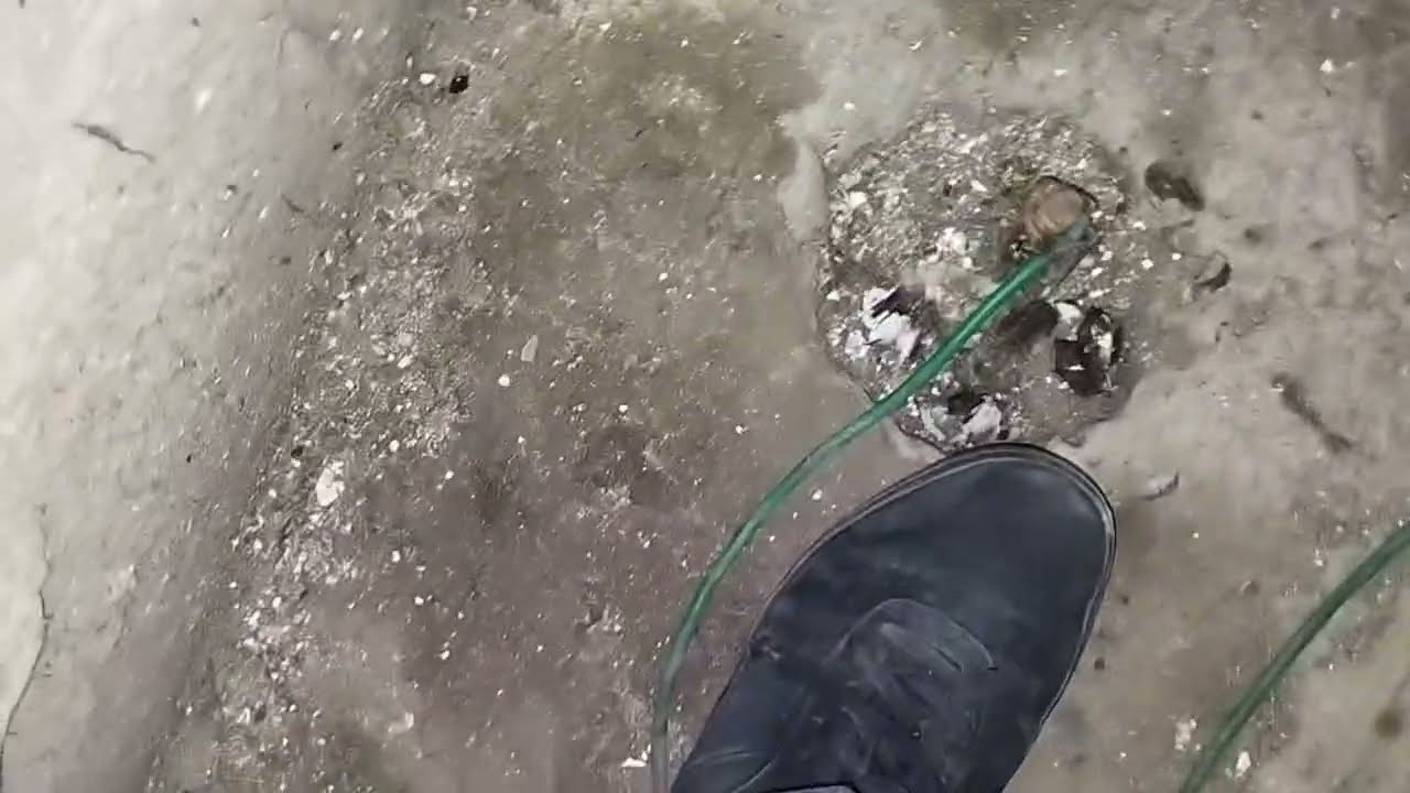 Bajamos el hueco del ascensor por un anillo y miren lo que nos encontramos...