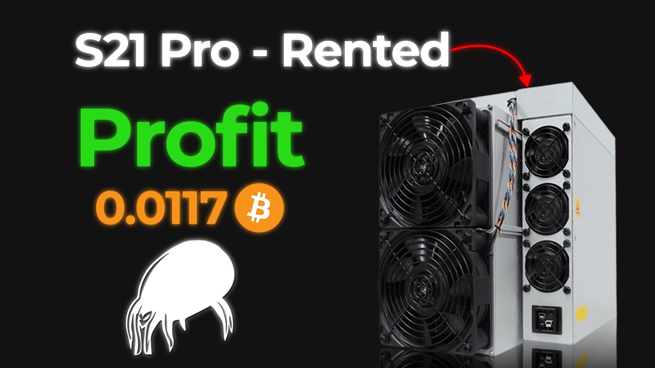 We ACTUALLY Made Profit From Renting Hashrate On Parasite Pool