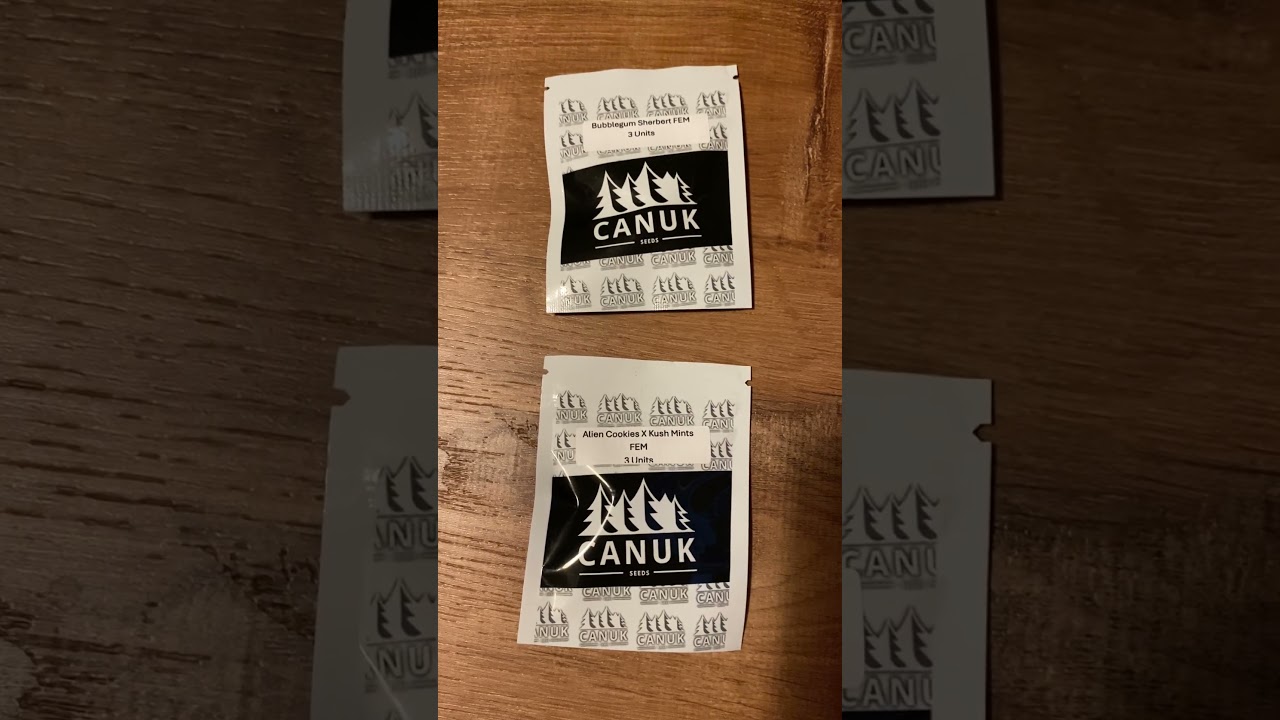 GrowDaddyTV Next Grow - Thank You Canuck Seeds!!! #cannabisgrower #organiccannabis